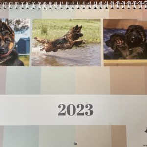2023 GSDL Calendar