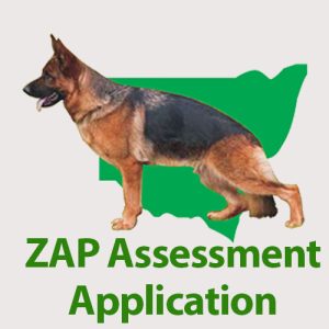 ZAP Application